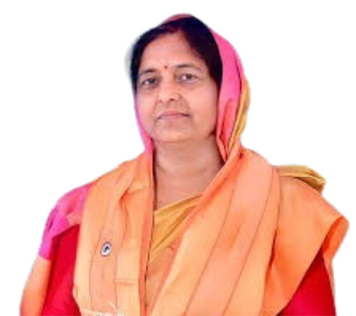 Mrs. Seema Dwivedi Ji