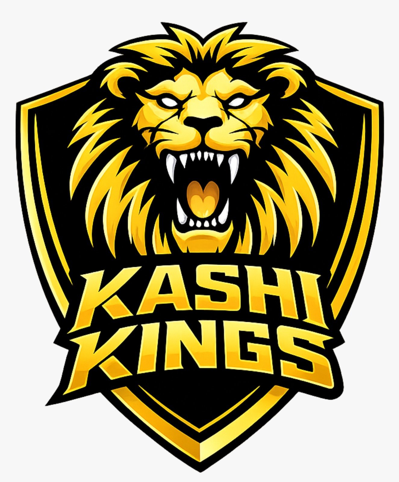 Kashi Kings